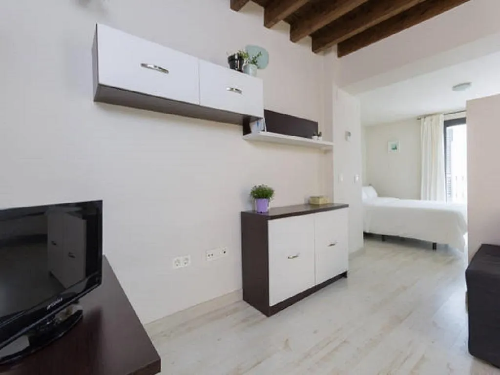 Apartment Mimo Rooms Malaga 0*,  Spain